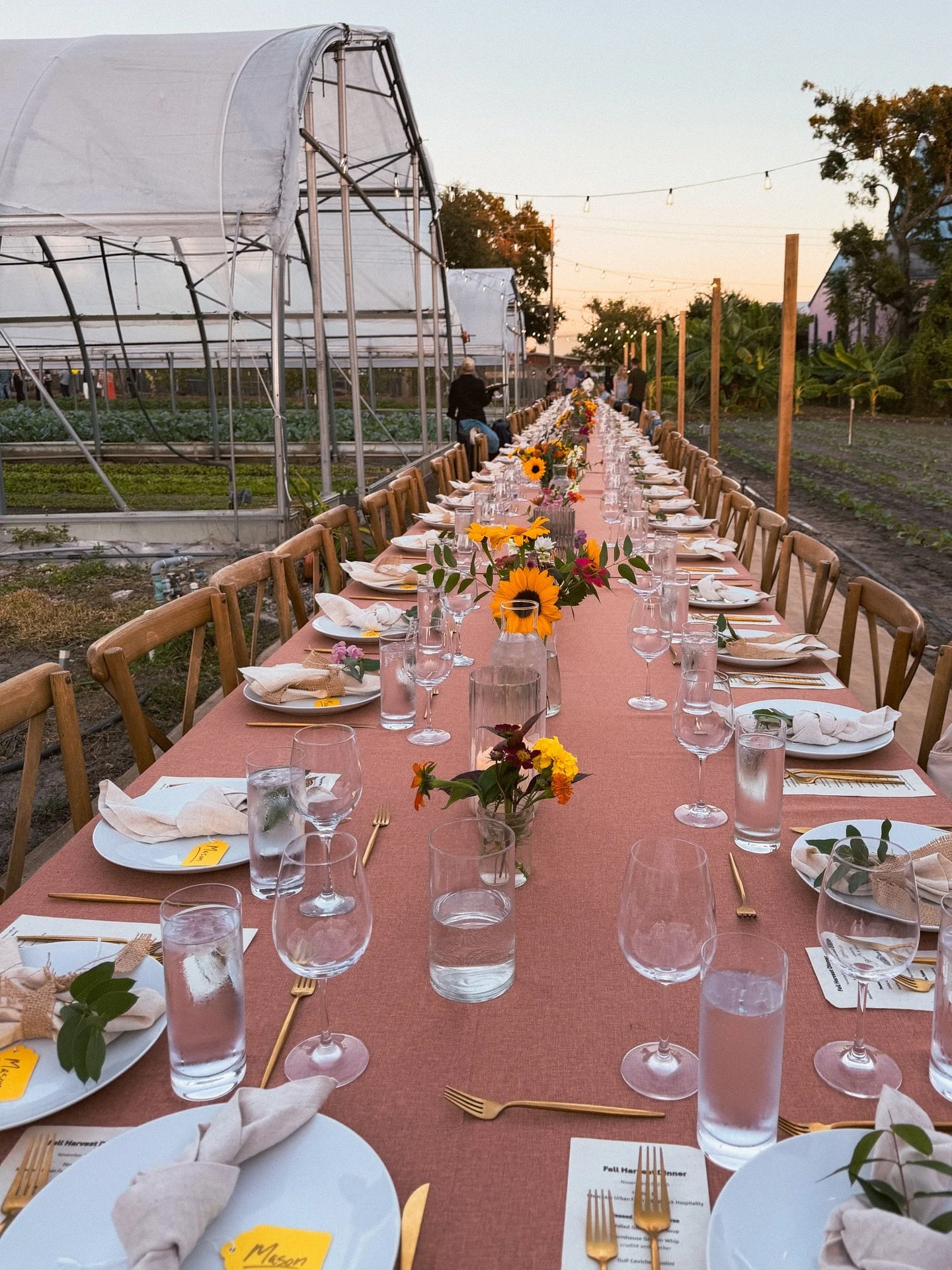 The most perfect night for the @meachamurbanfarm @saltblockhospitality Fall Harvest Dinner! 🥕🥬

The SaltBlock team did a fantastic job preparing the fresh ingredients from Meacham and other local farmers + purveyors for a truly memorable meal. 

Fa