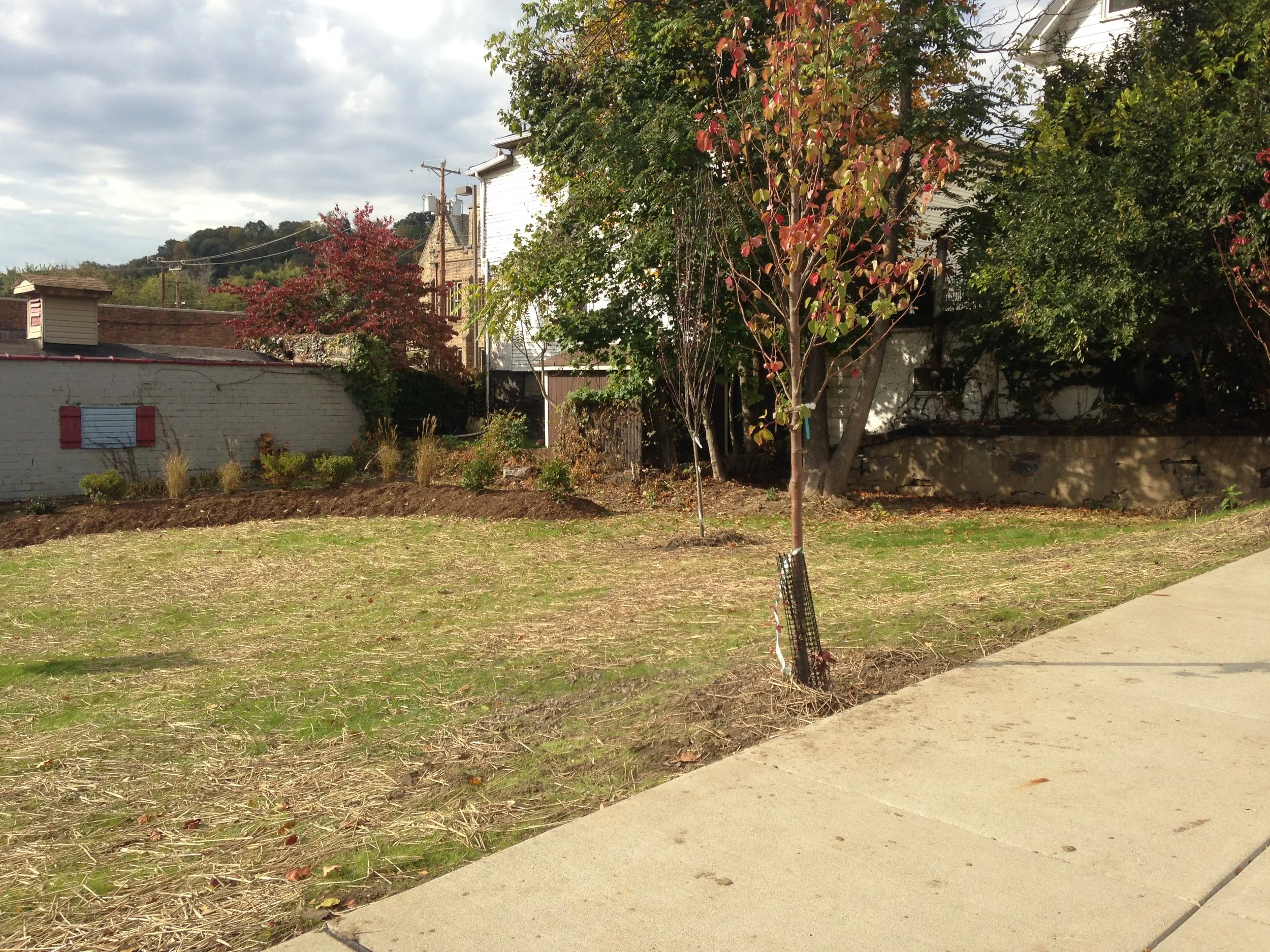 2015-10-20 10.37.39.jpg