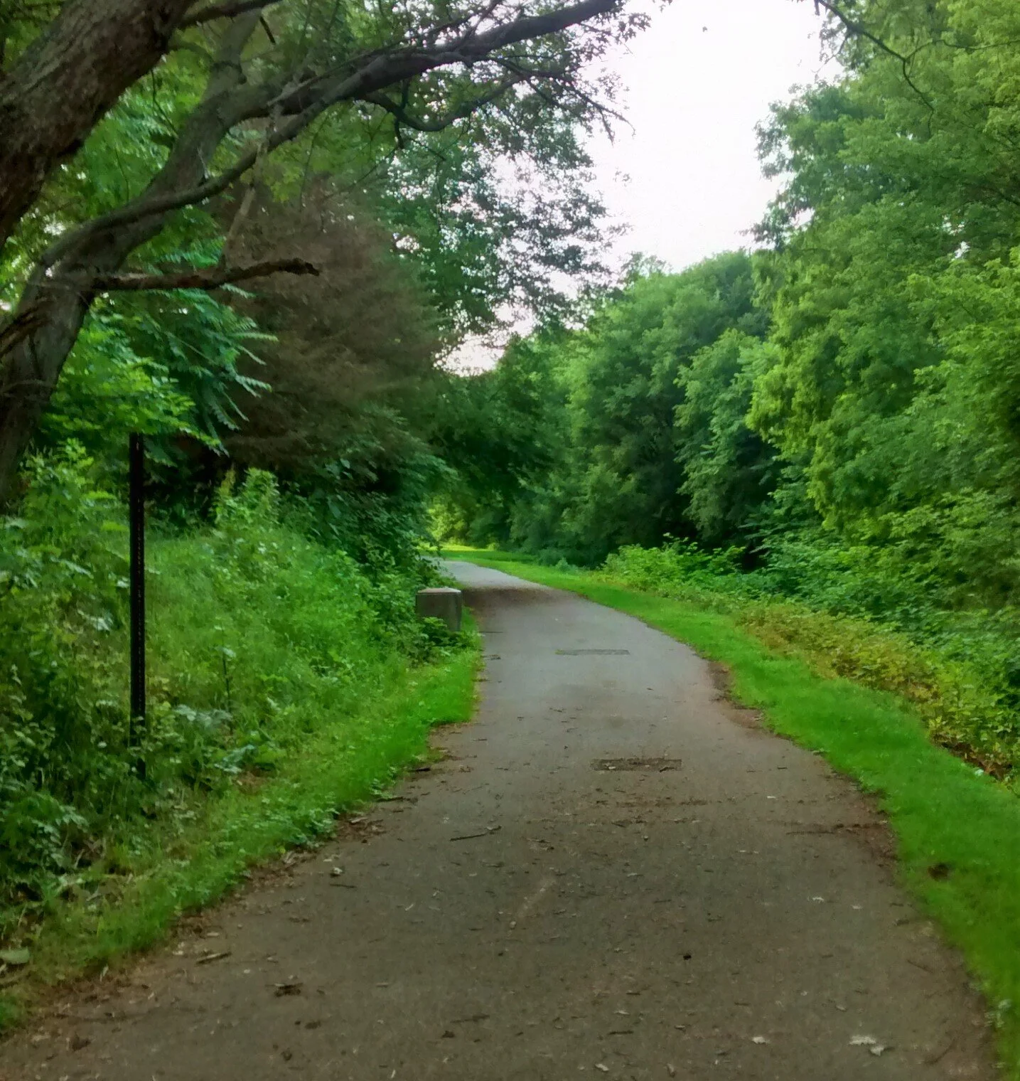 BFbiketrail4.jpg