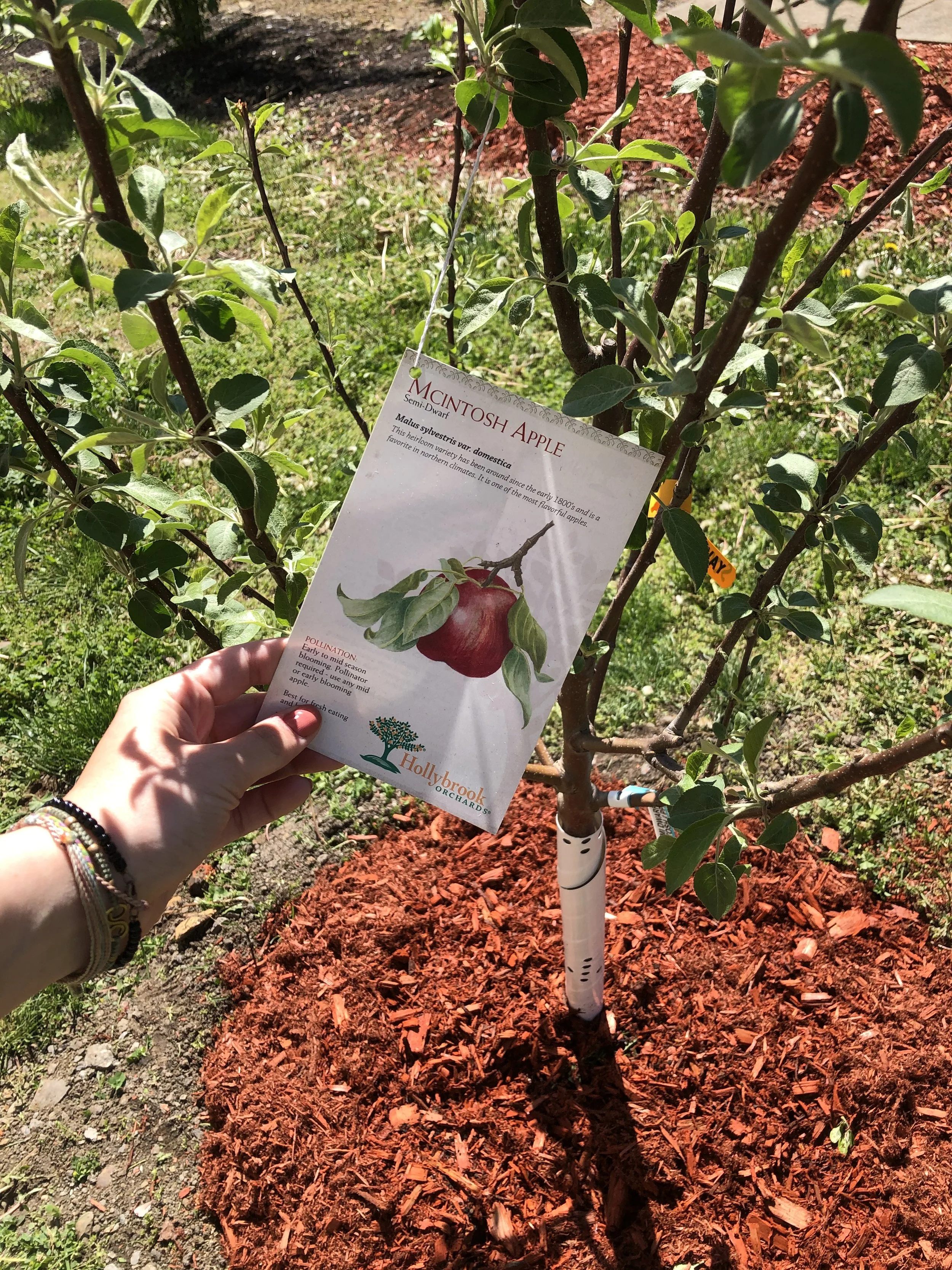 Summer 2021: Beauty in BF