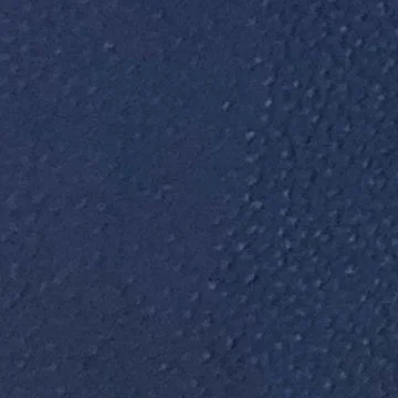 Blue Monaco (Cow #5)