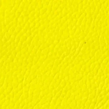Neon Yellow Monaco (Cow #10)