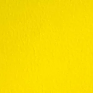 Yellow 209 Monaco (Cow #4)