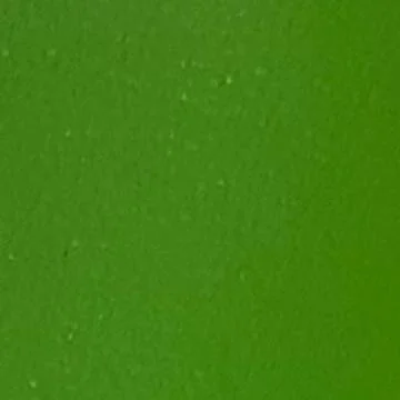 Lime Green (Kangaroo #13)