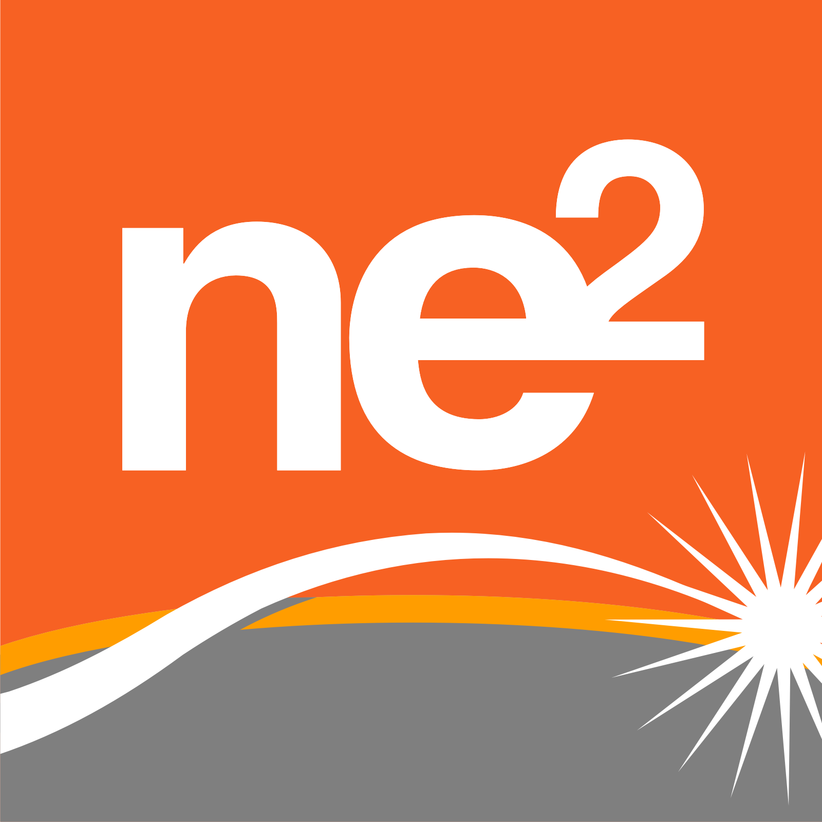ne2 Orange Top 1600x1600 600 DPI.png