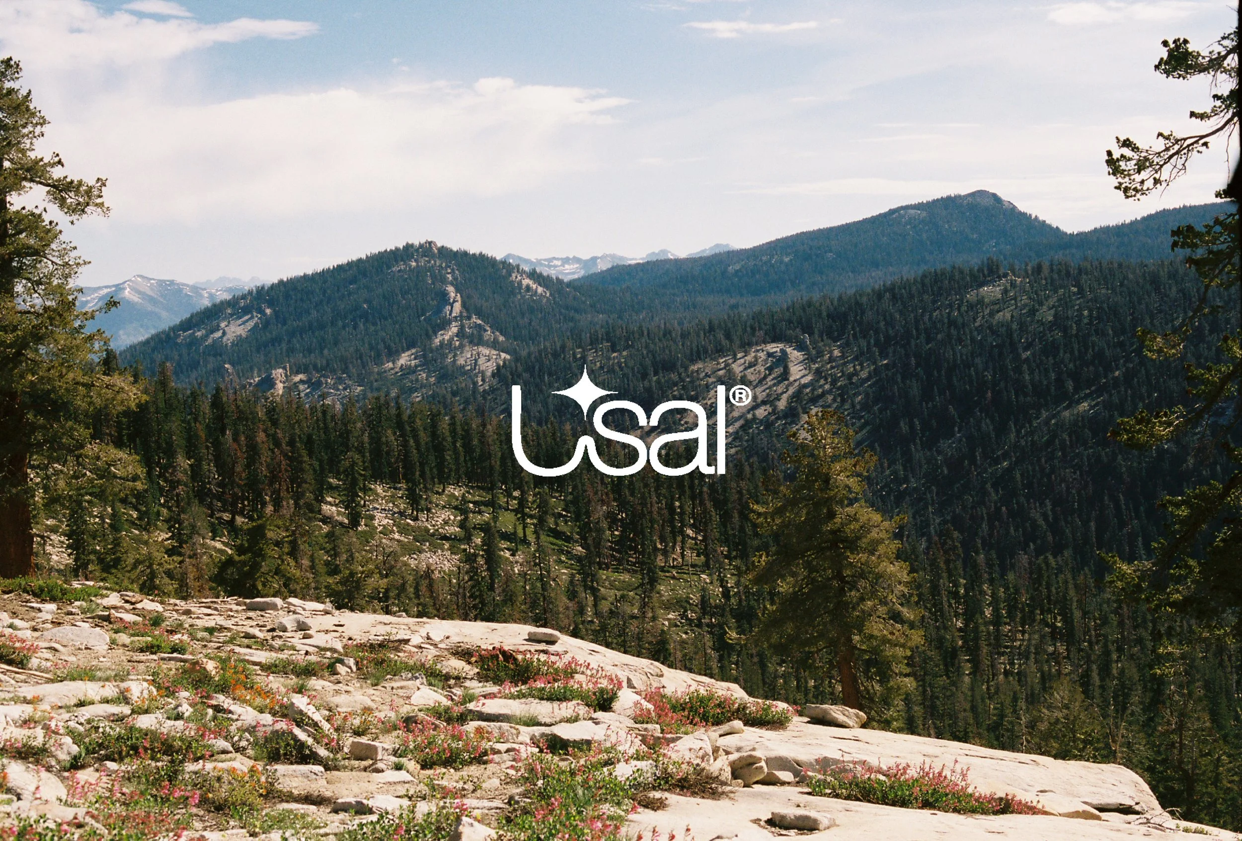 usal_cover-01.jpg