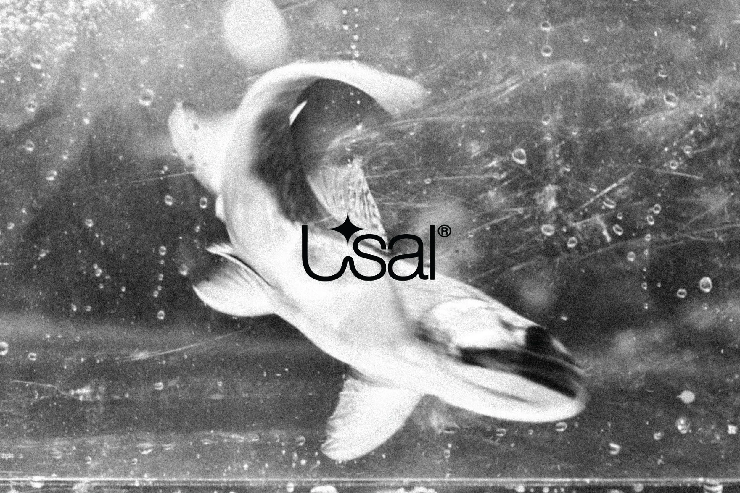 usal?fish-01.jpg