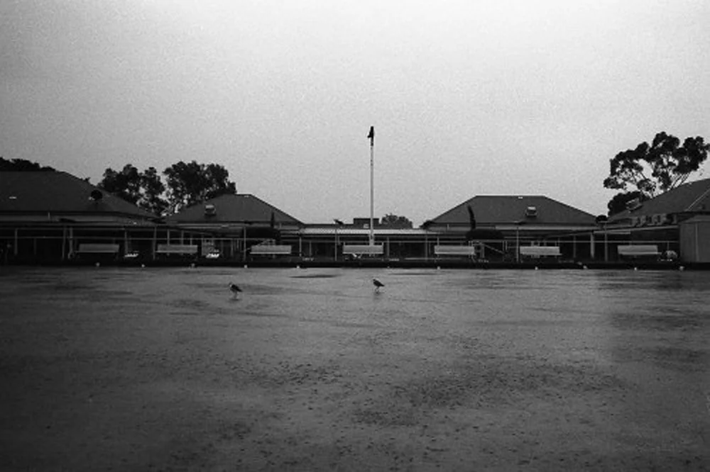 Birds who had taken up residence on the flooded lawn balls green outside the museum / Photograph by Dominic King