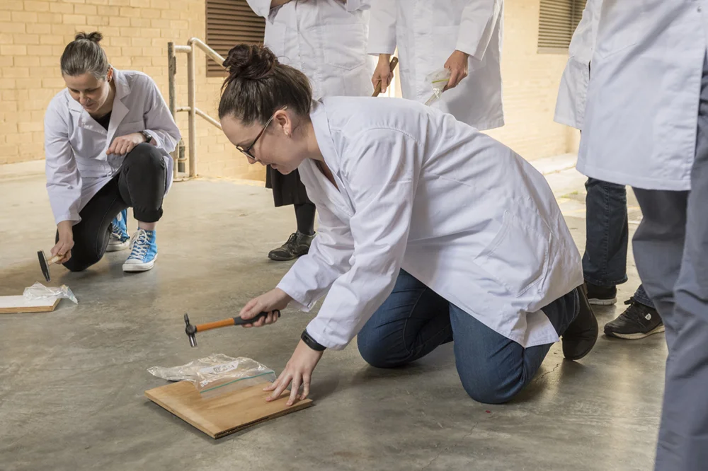 Lisa Quinlan and Laura Gransbury destroy their 'cultural objects' (ceramic tiles)