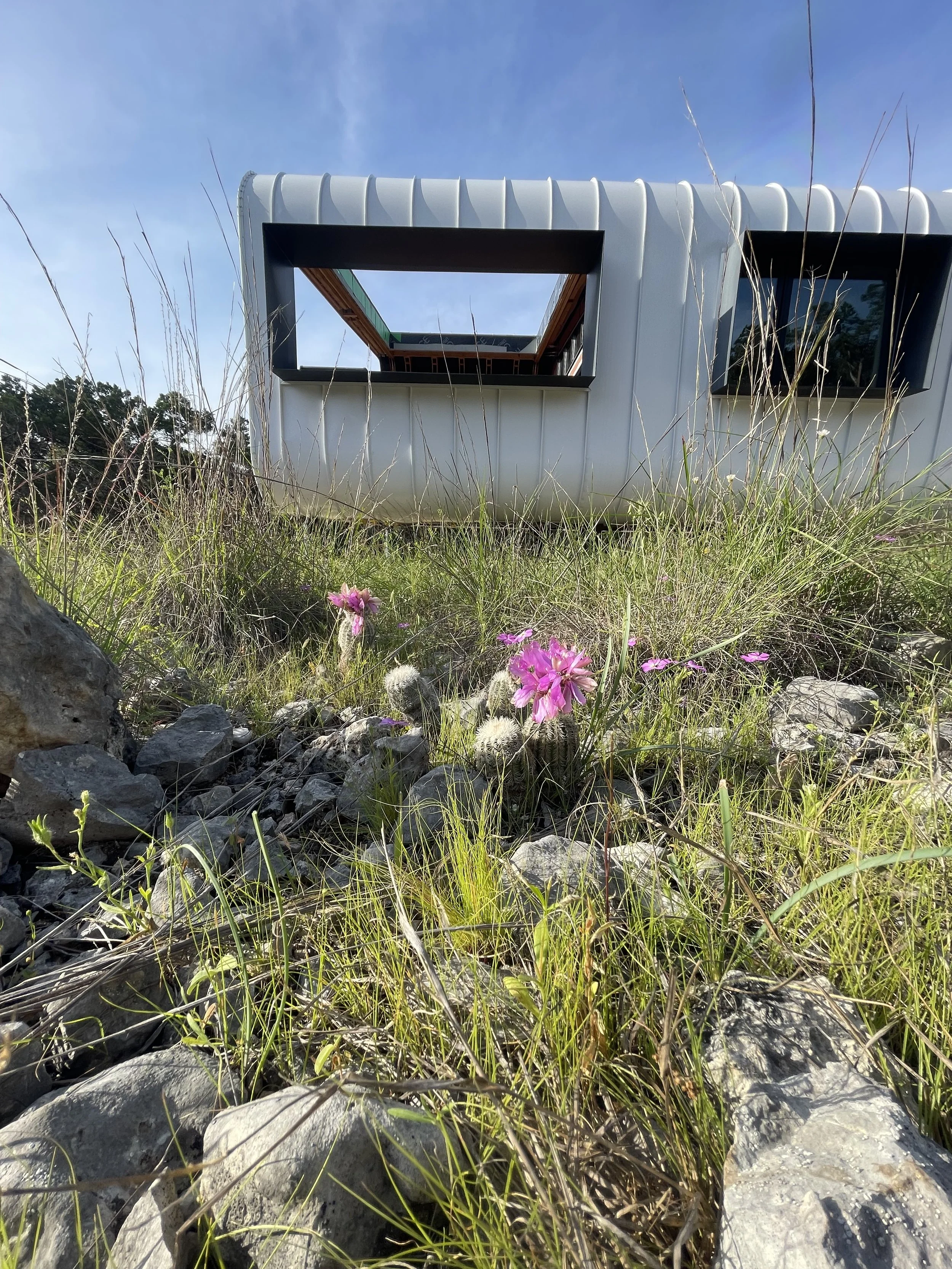 54 cactus flower with deck module.jpg