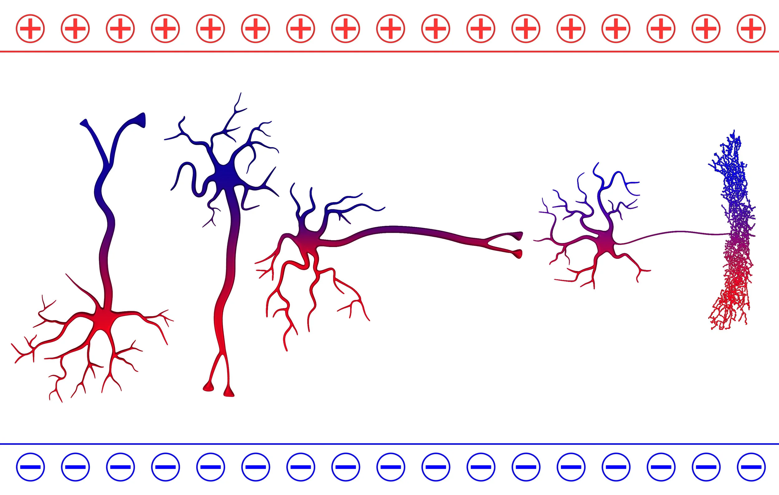 Figure 1.jpg