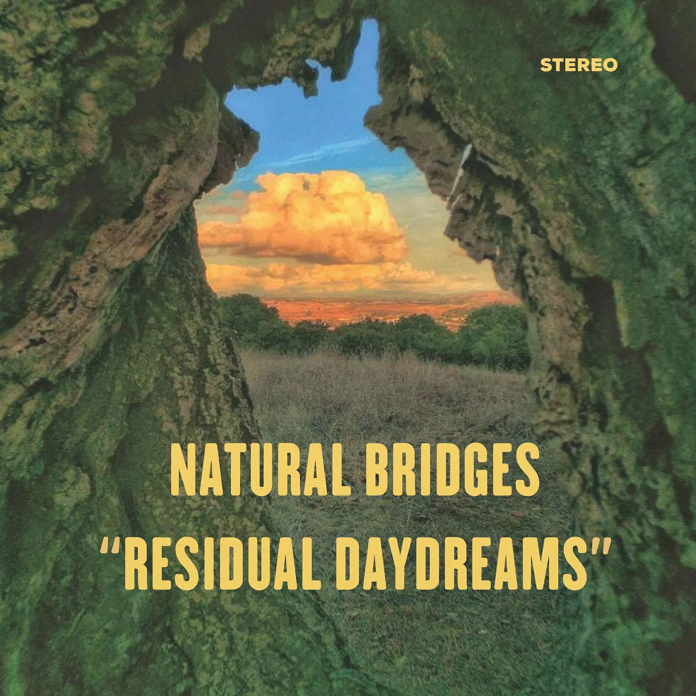 NaturalBridges-Cover-Small-for-WEB.jpg