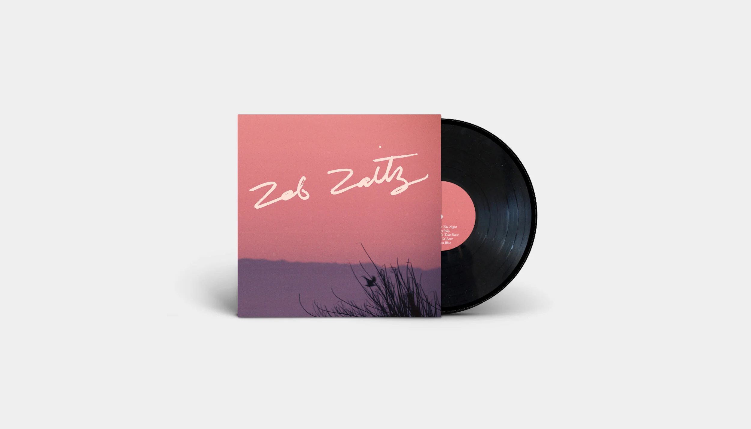 vinyl