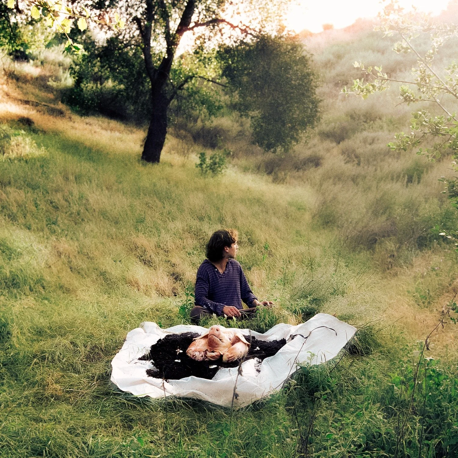 "No Home", the new album by Lane Hartley is out now✨Stream the album and order vinyl LP's &amp; CD's at link in bio🔗

Produced in collaboration with David Hartley of The War On Drugs &amp; Adam McDaniel (Animal Collective, Angel Olsen, Geo
