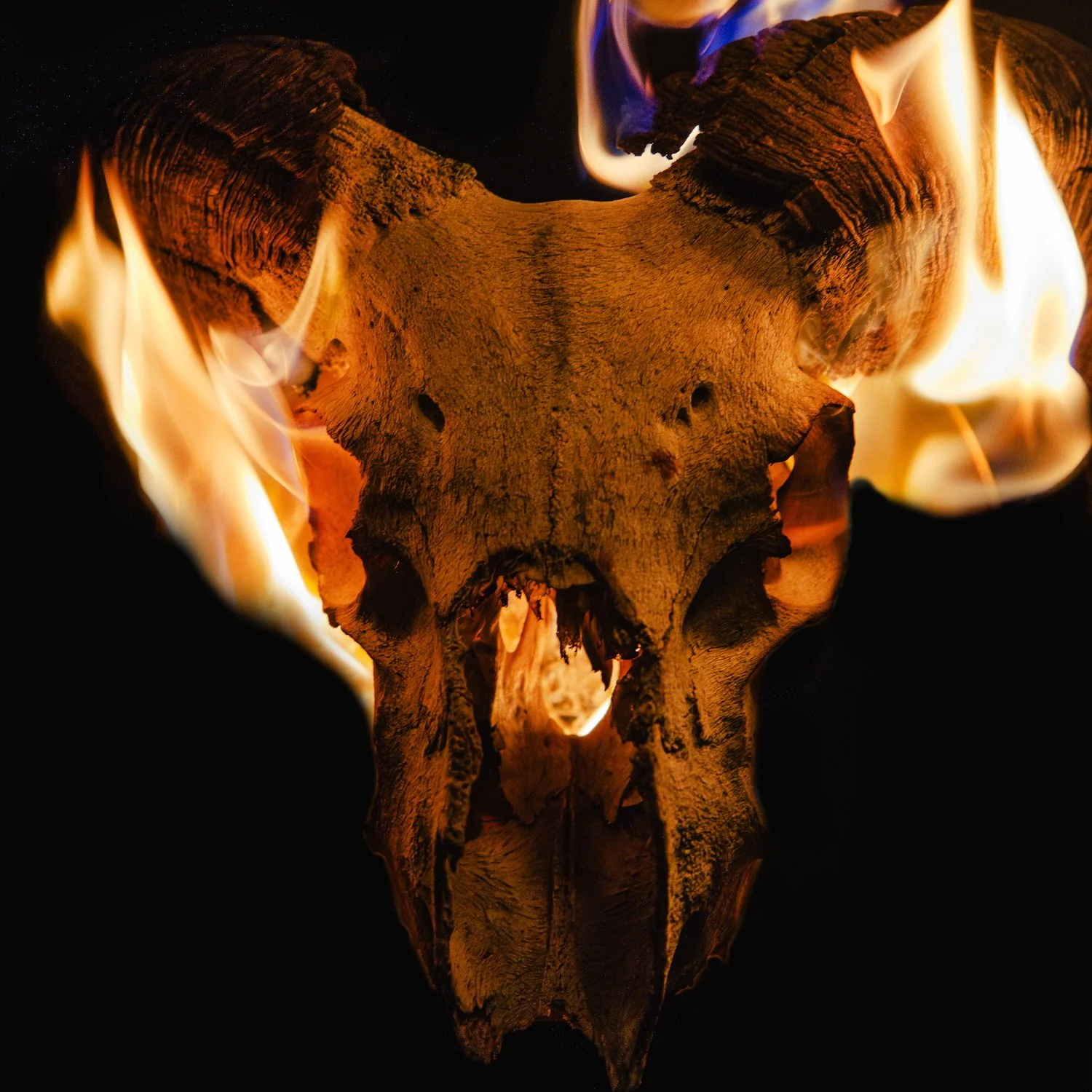 Whiskerman - American Hell Pt. II