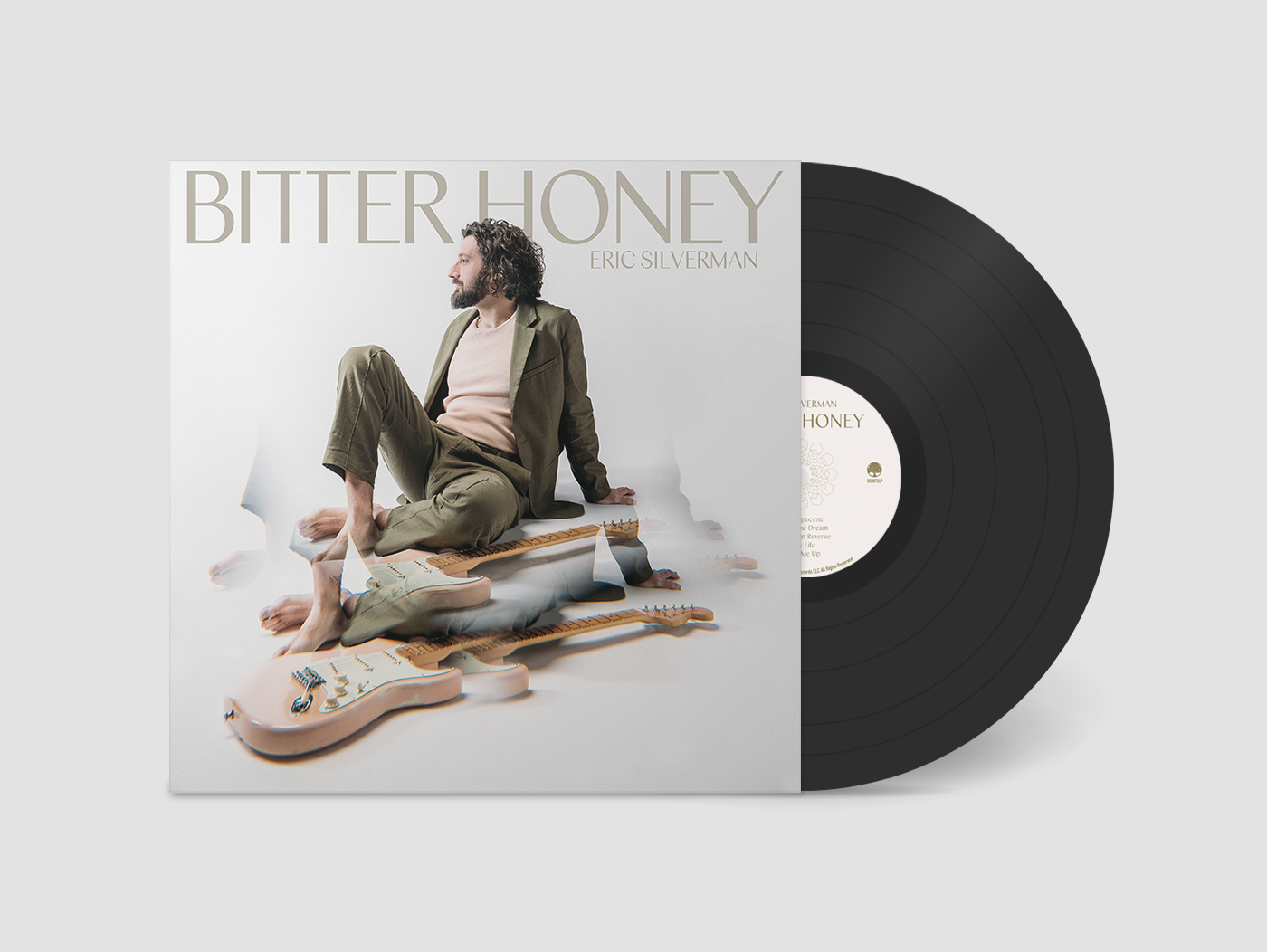 DE0072LP_mock up.png