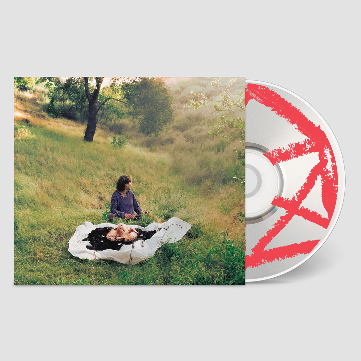 ROR076CD_mock_SQ.png