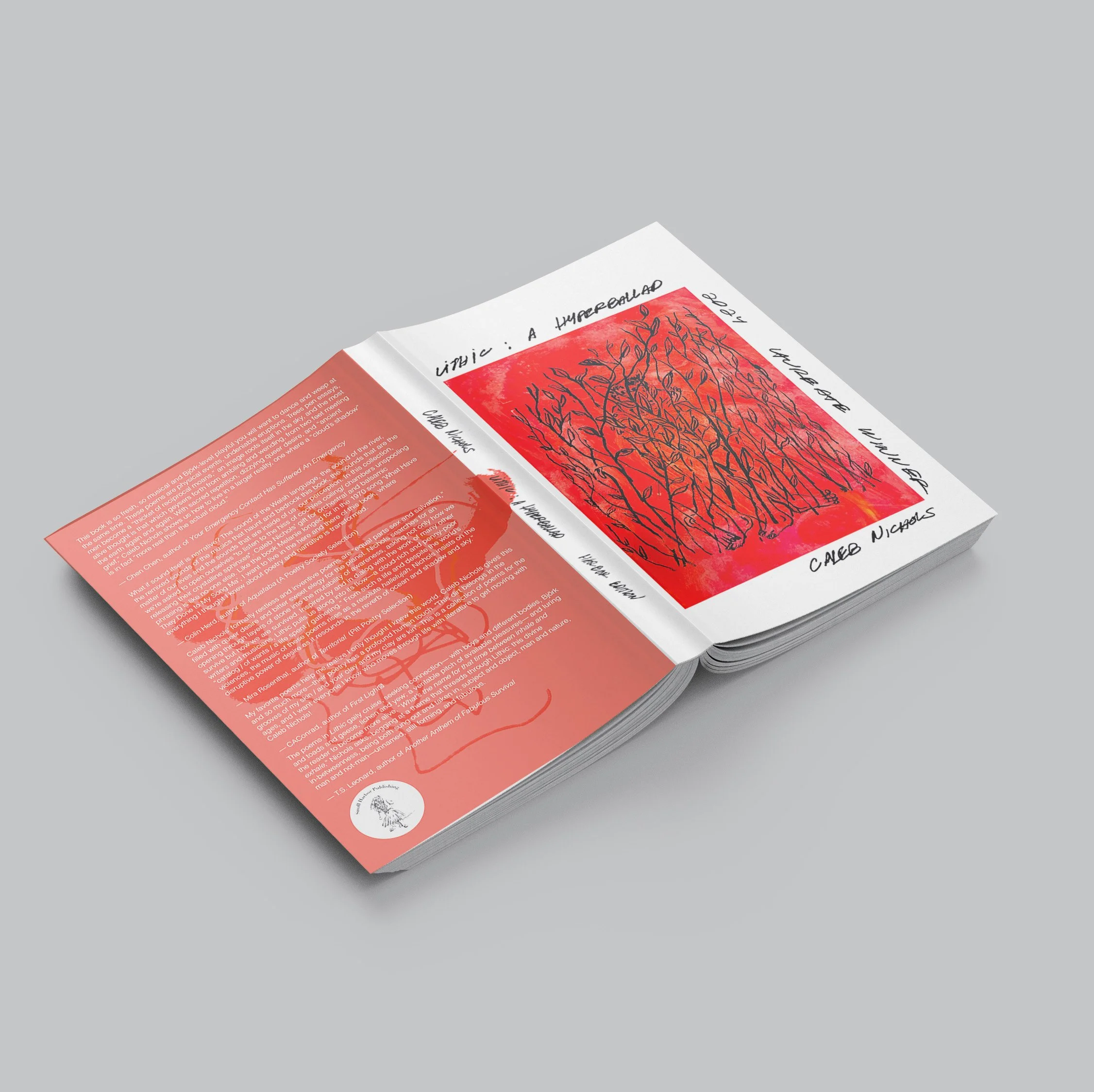 Lithic_ A Hyperballad_book mock-up.jpeg
