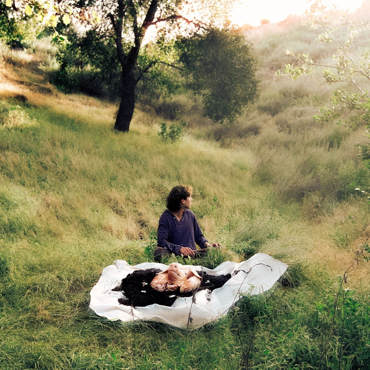 Lane Hartley_No Home_1500x1500.jpg