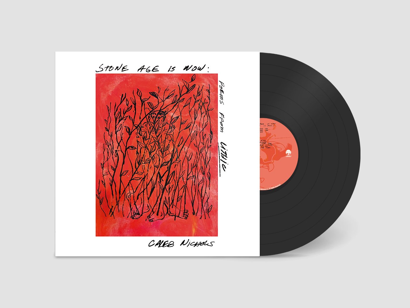Caleb Nichols_Stone Age Is Now_vinyl LP (1).jpg