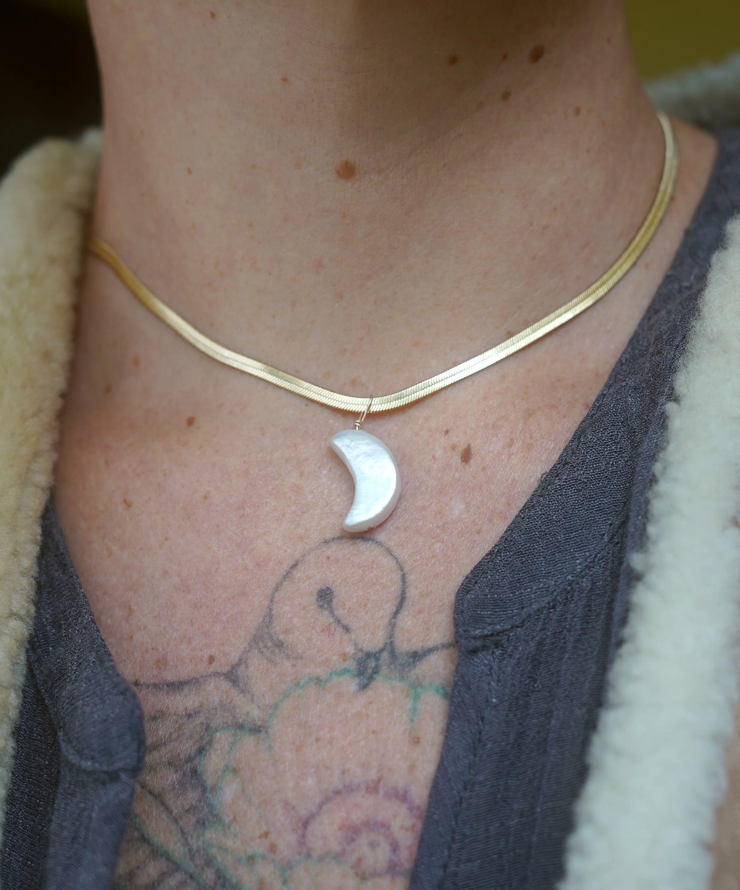 crescent stellaluna.JPG