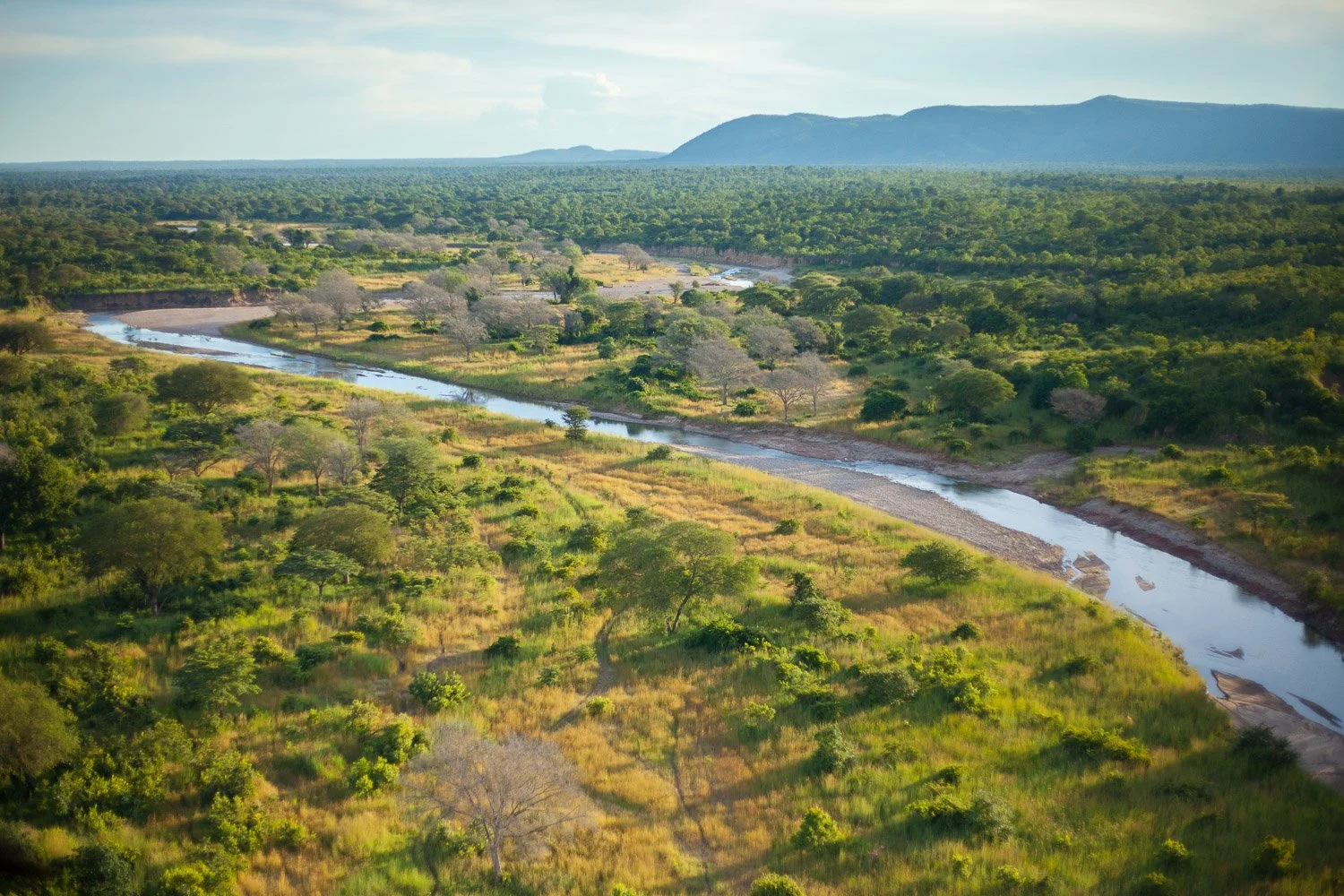 SAVE THE RHINO | WORLD RANGER DAY