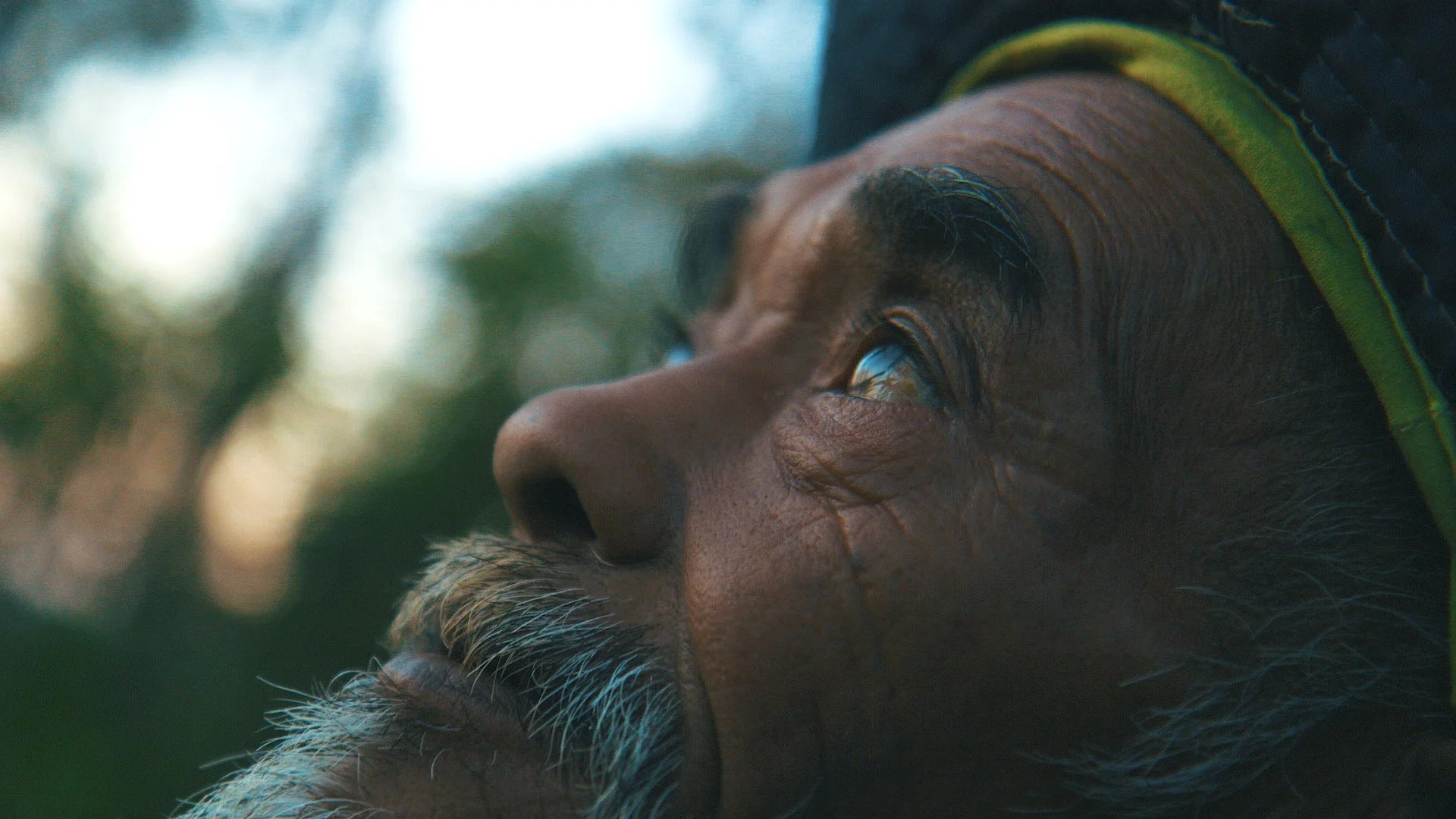 SADIMAN | THE FOREST MAN OF JAVA
