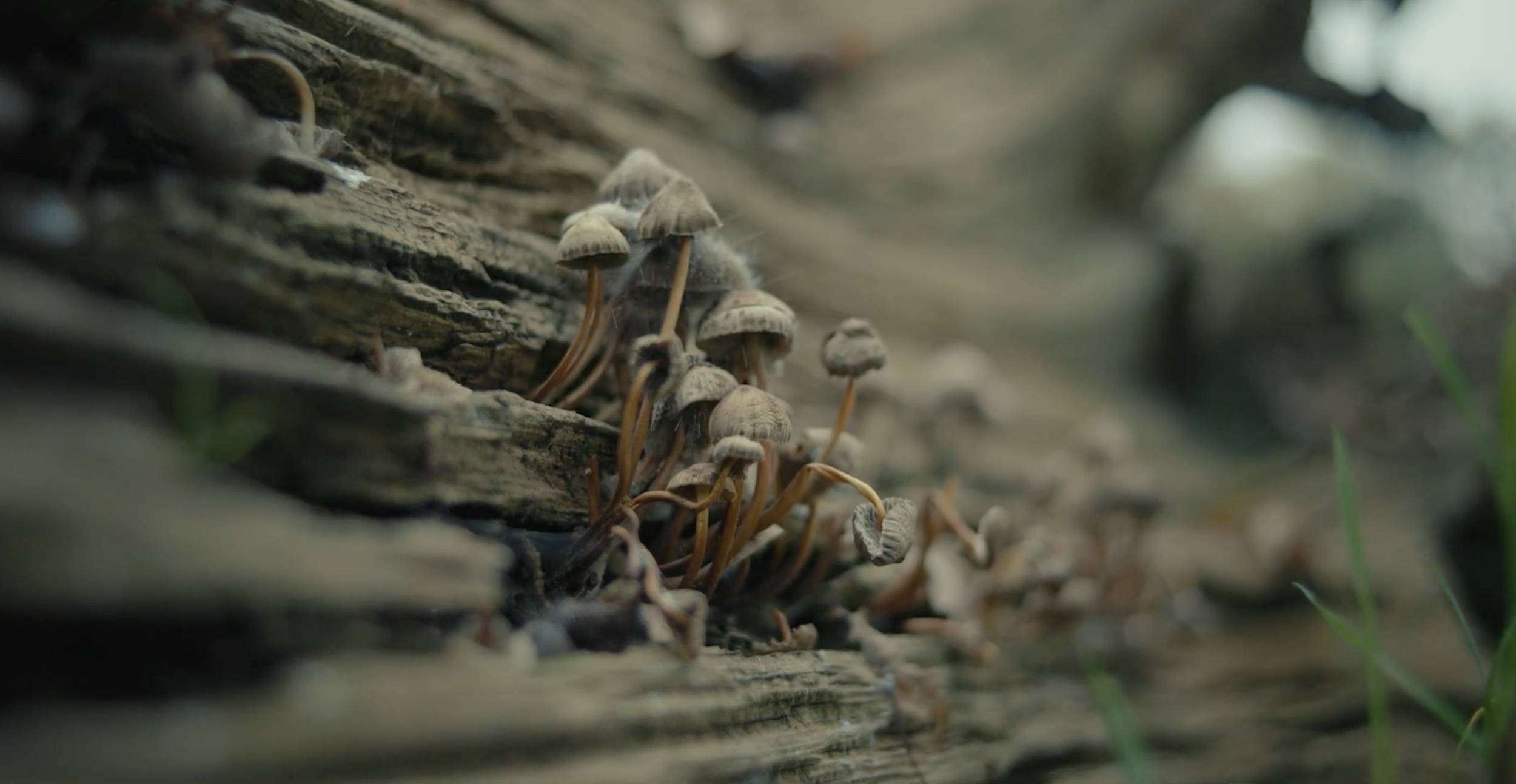 Screenshot 2026-02-17 at 11.36.18.png