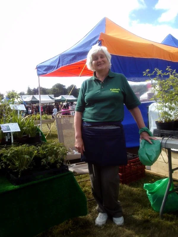 DEB STANSTED 13.jpg