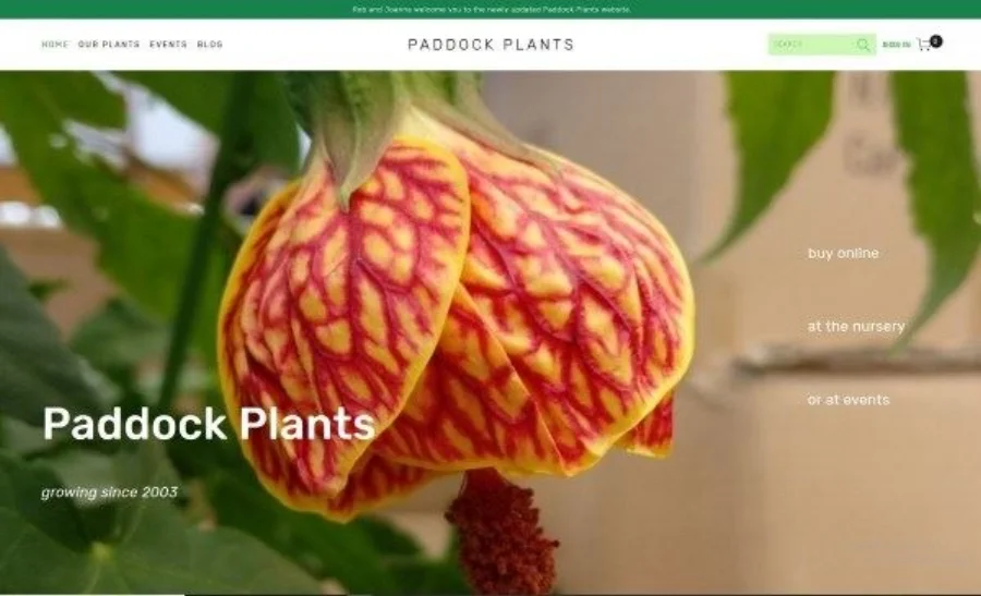 PP_Website_Squarespace.jpg