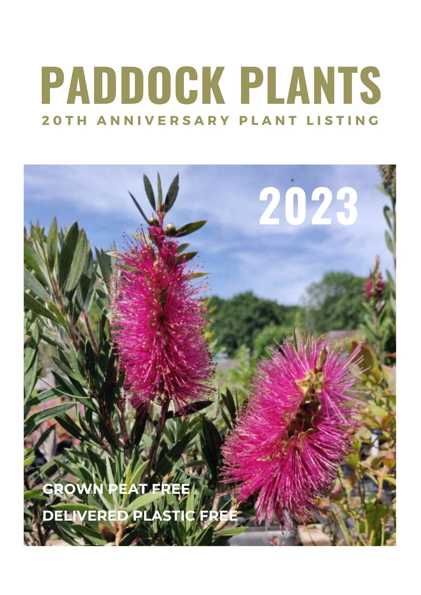 2023 FULL PLANT LIST — Paddock Plants Buy Online UK