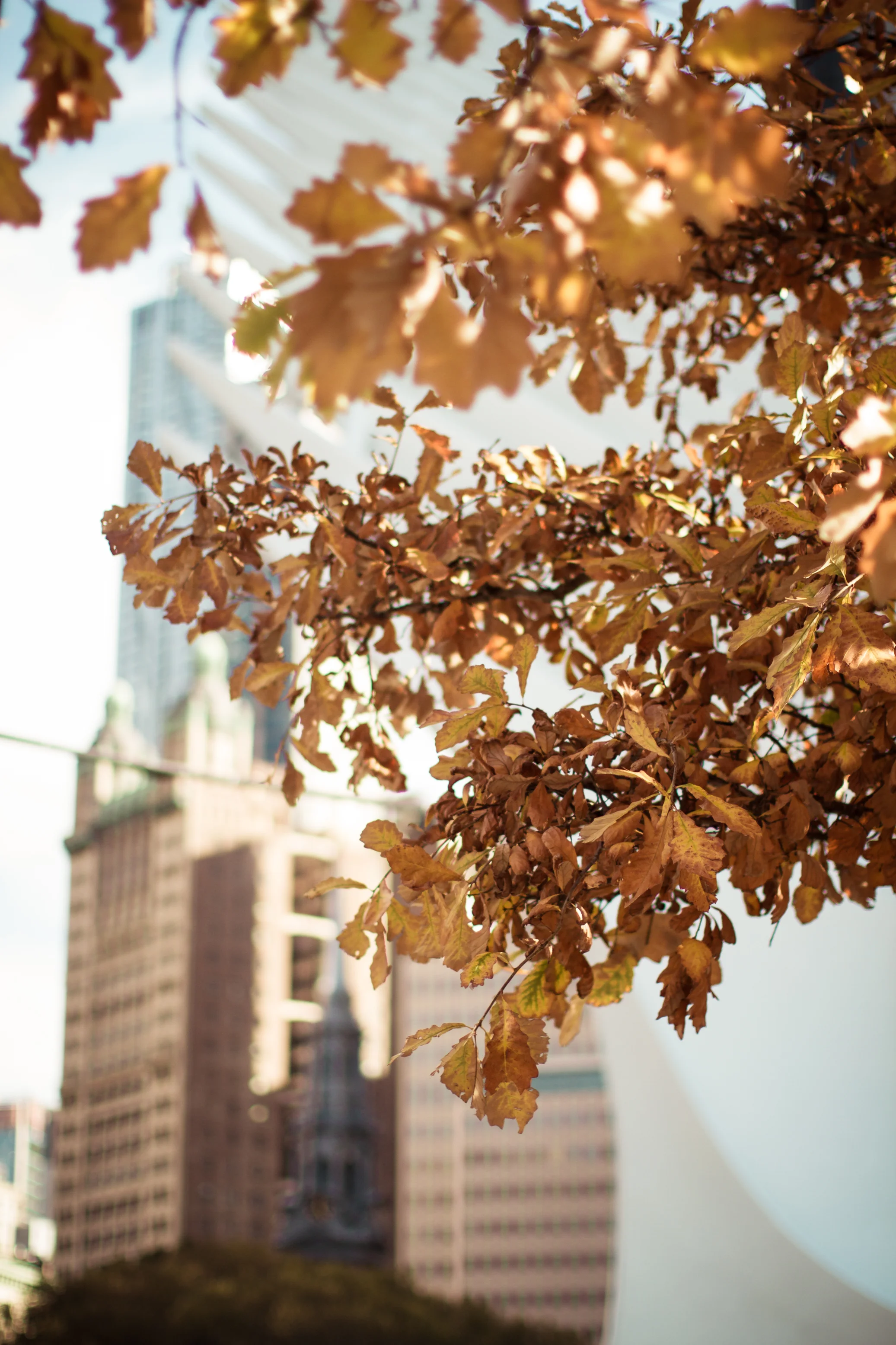 _MG_9014.jpg