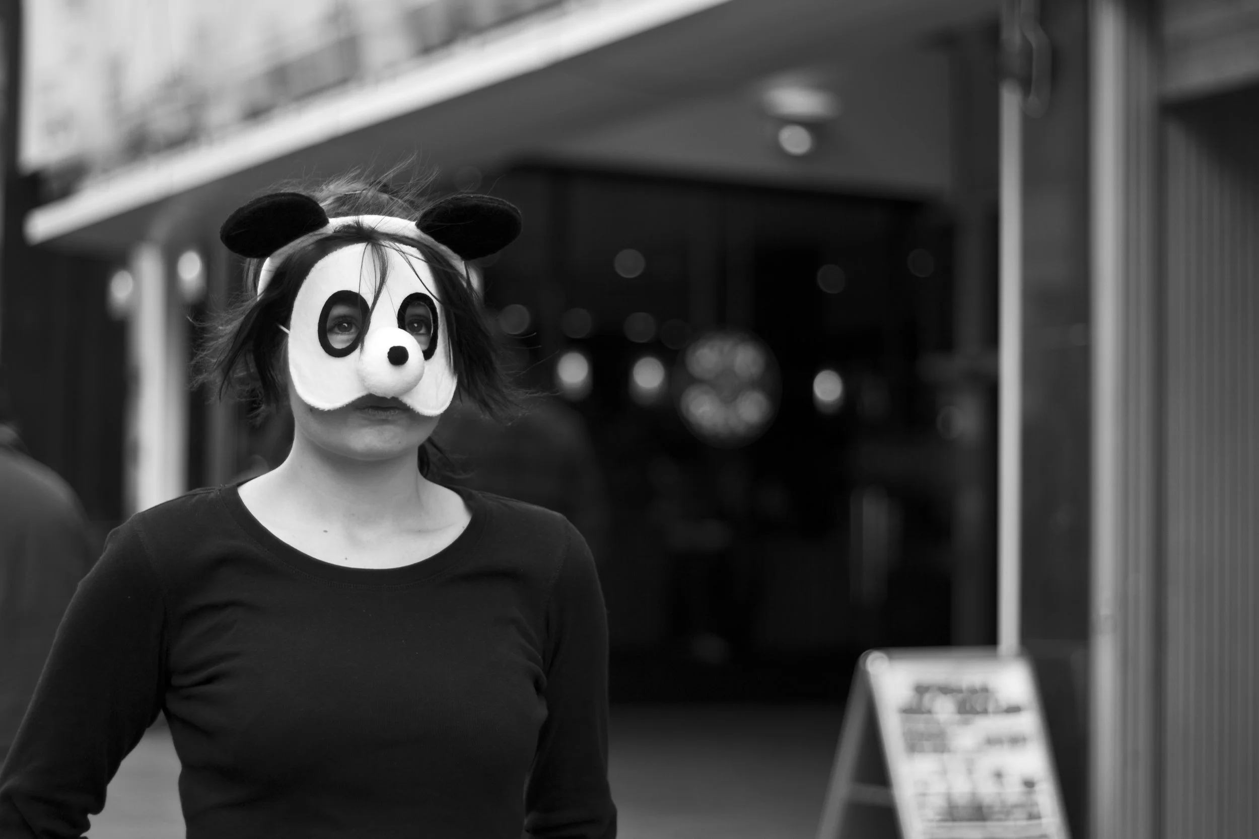 panda1.jpg