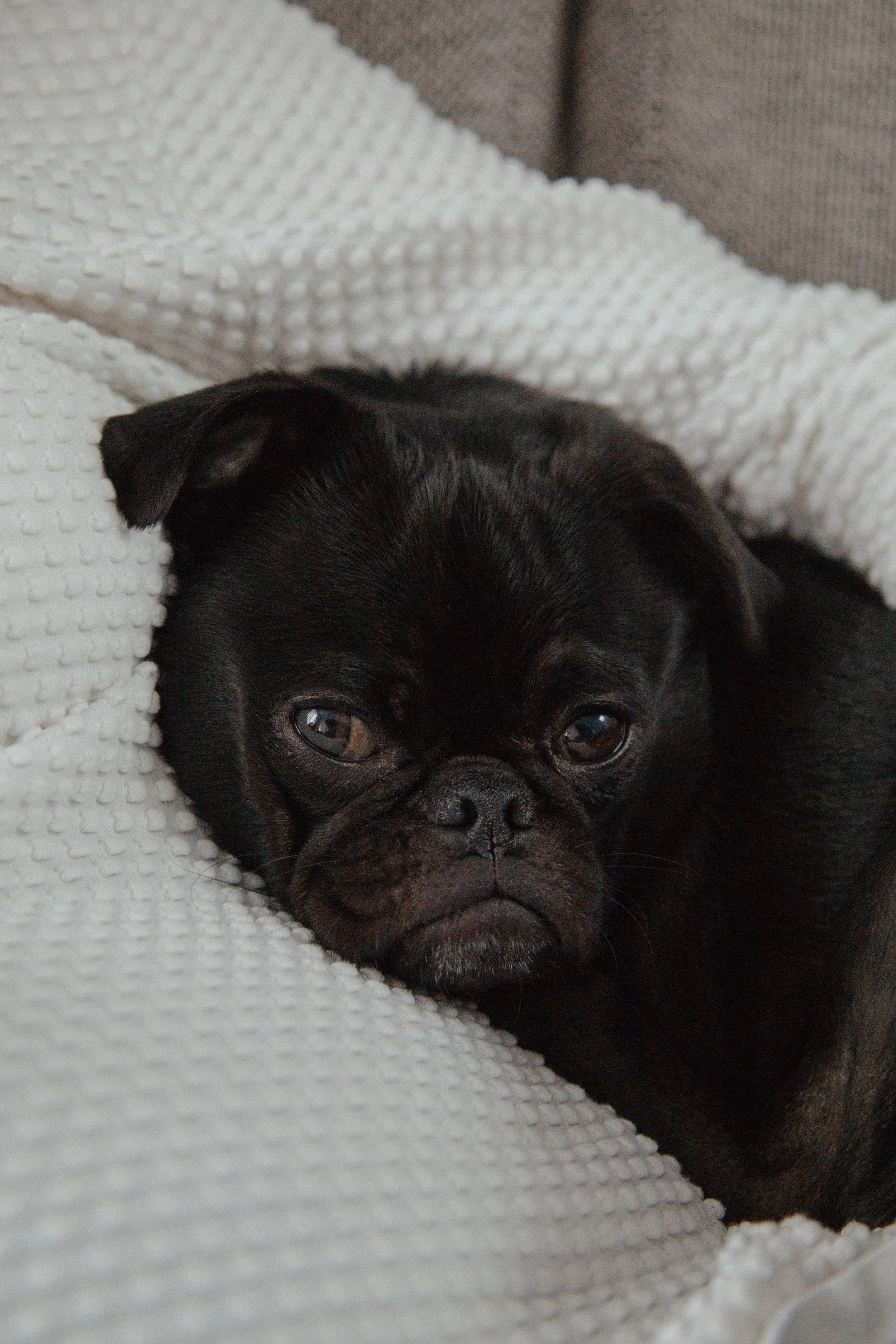 charles-cApNugbwhIs-unsplash.jpg