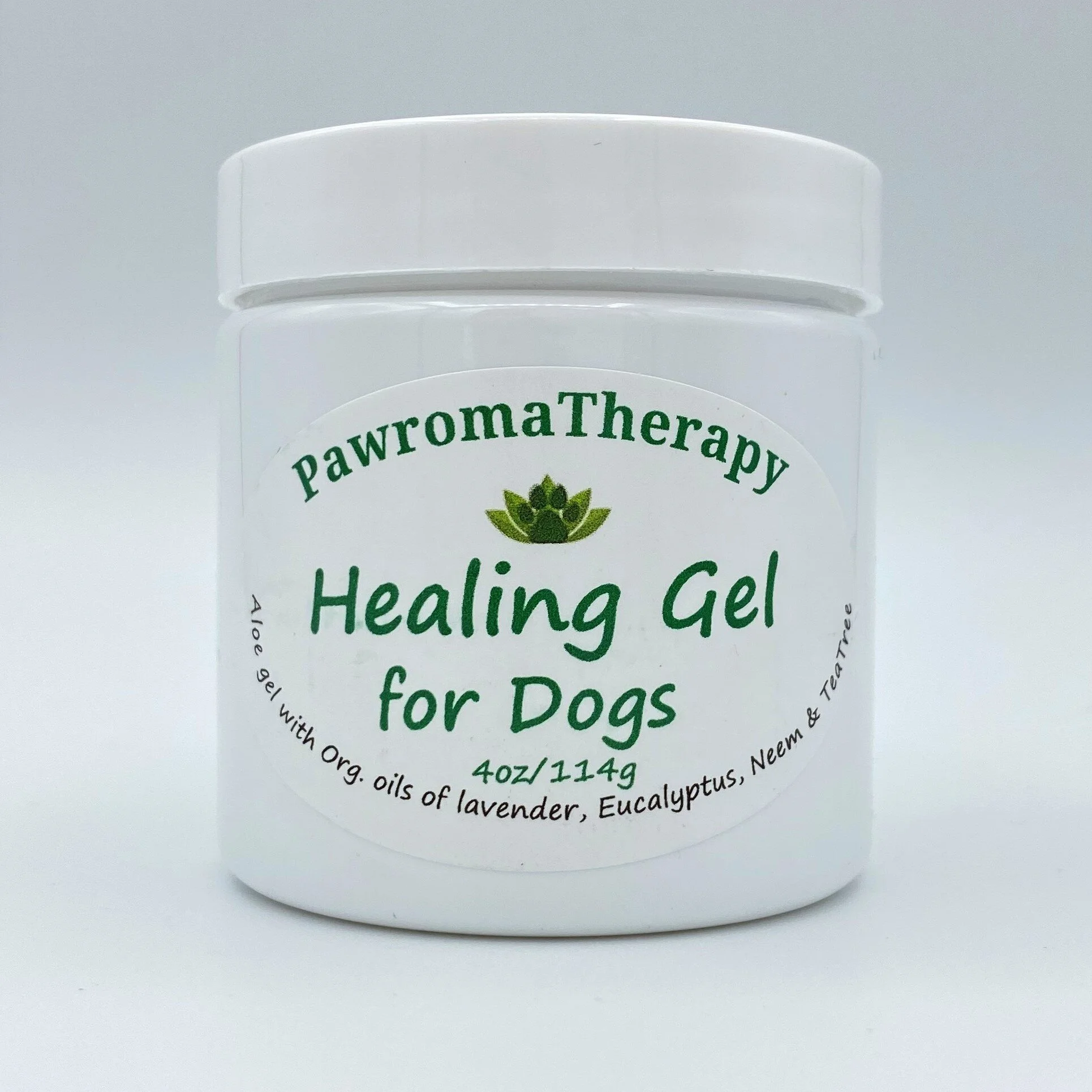 Toxic Plants Dog Eating Aloe Vera Plant Healing Gel For Dogs PawromaTherapy
