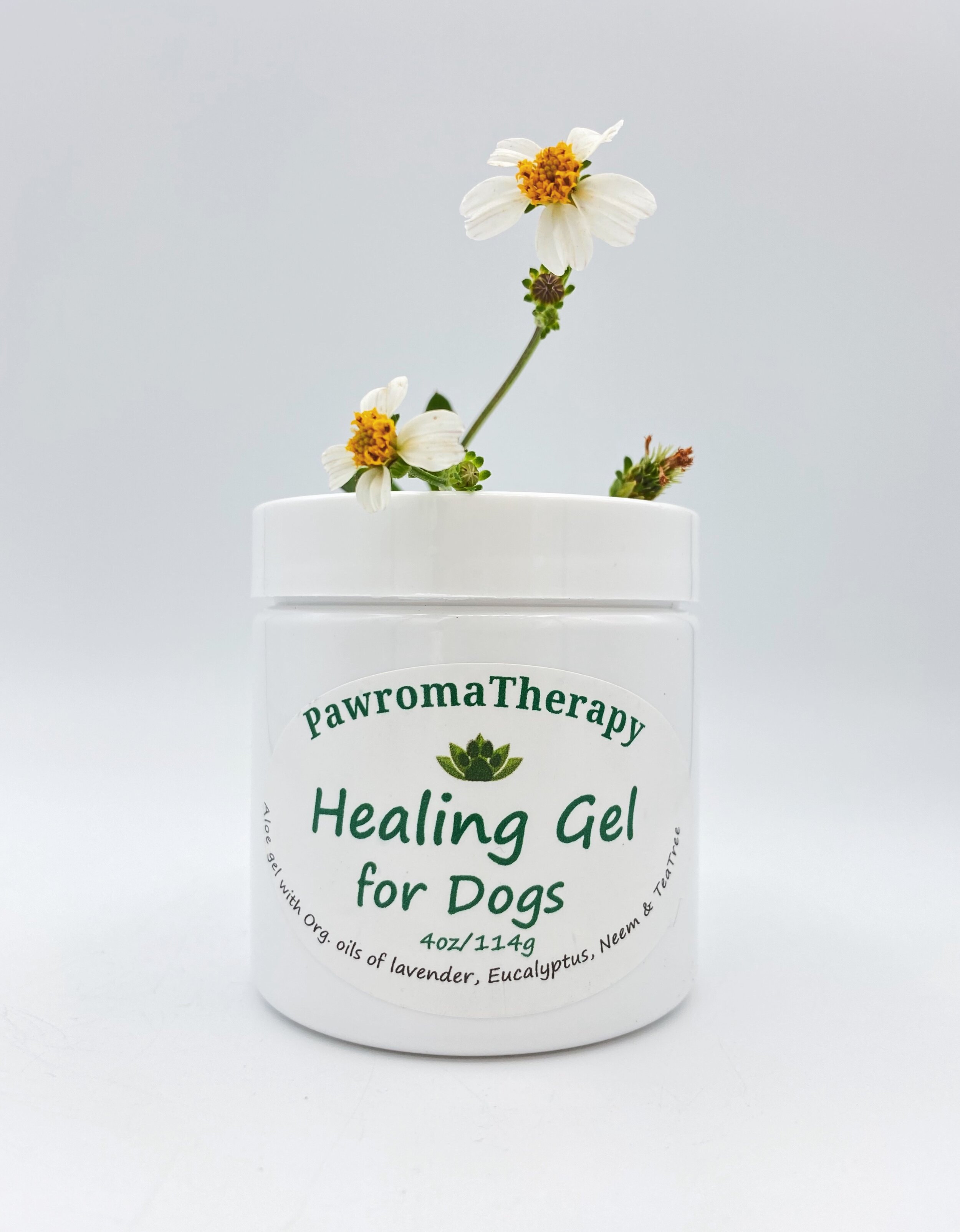Healing.Gel.for.Dogs.Daisies.JPG