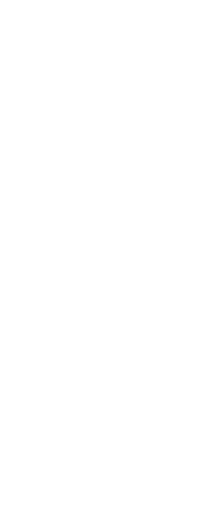 Brandish Design & Advertising