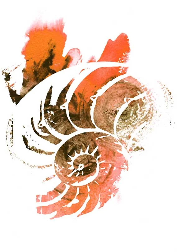DES_INK_ Nautilus_20170606.jpg