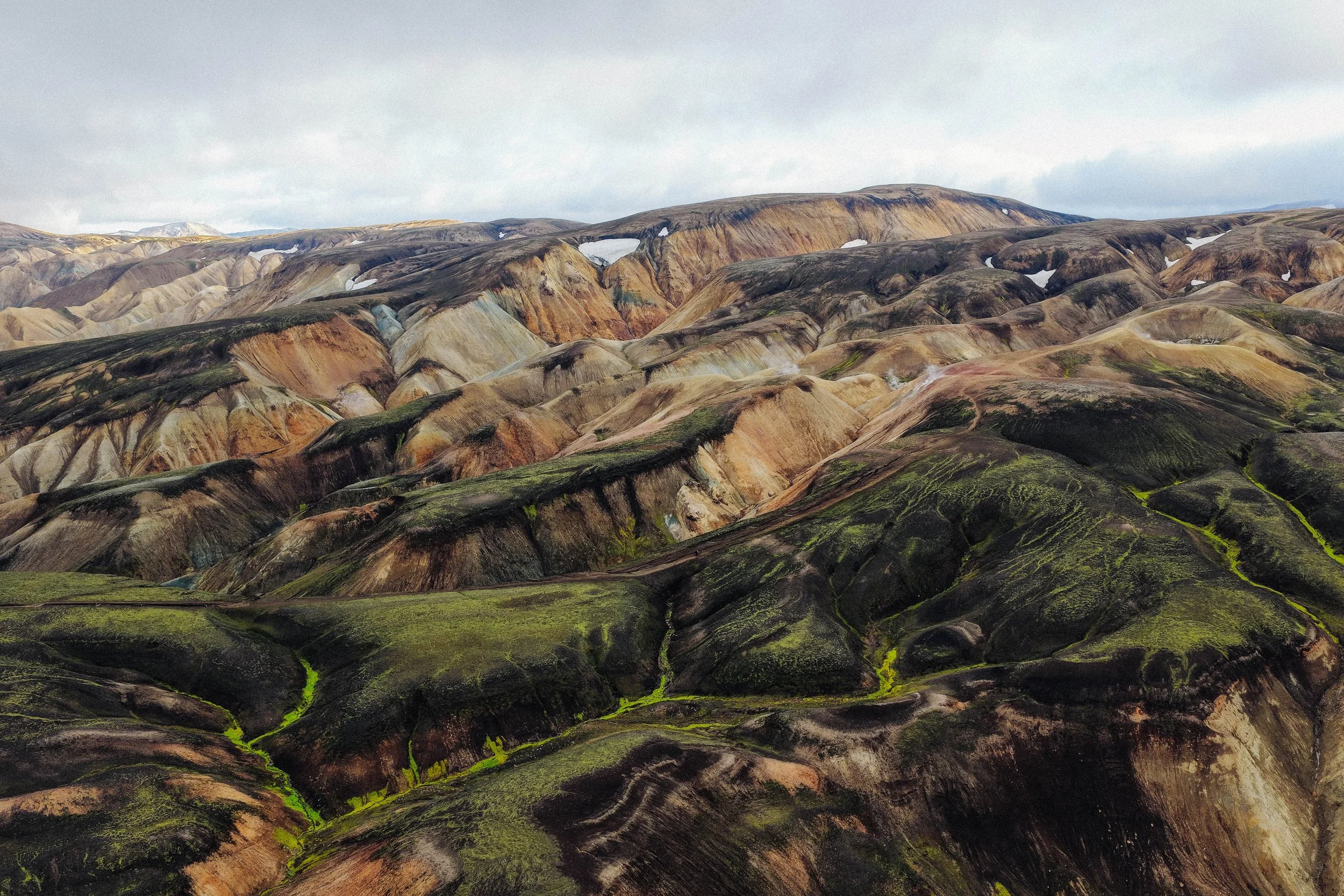 Island - Trail (1).JPG