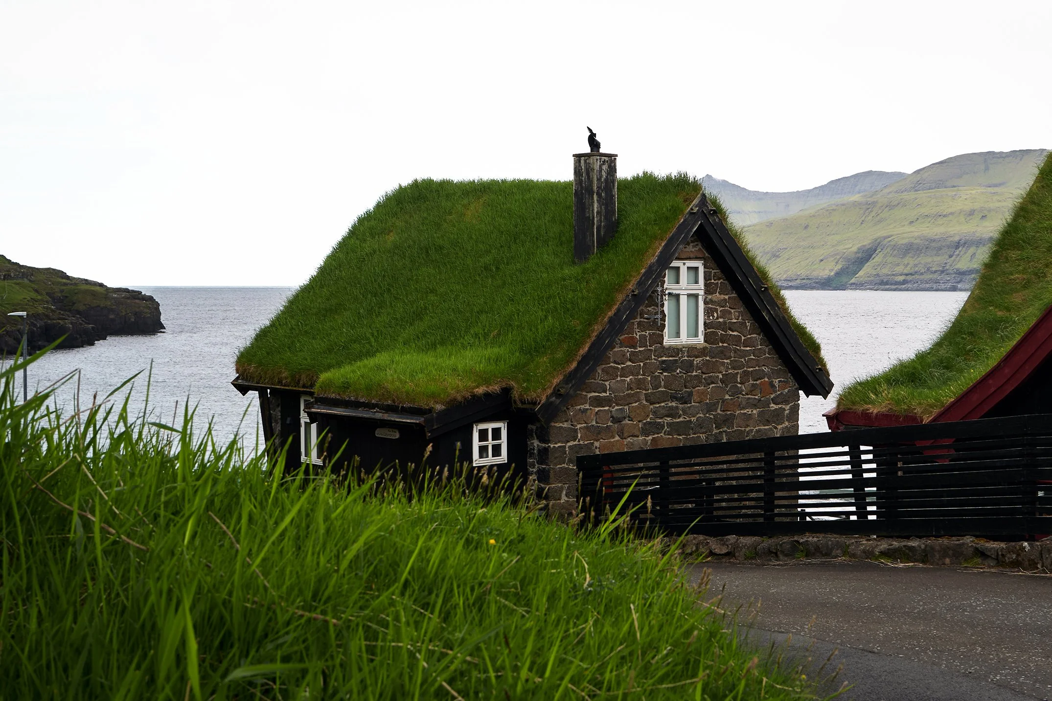 19Faroe Island - 2026.jpg