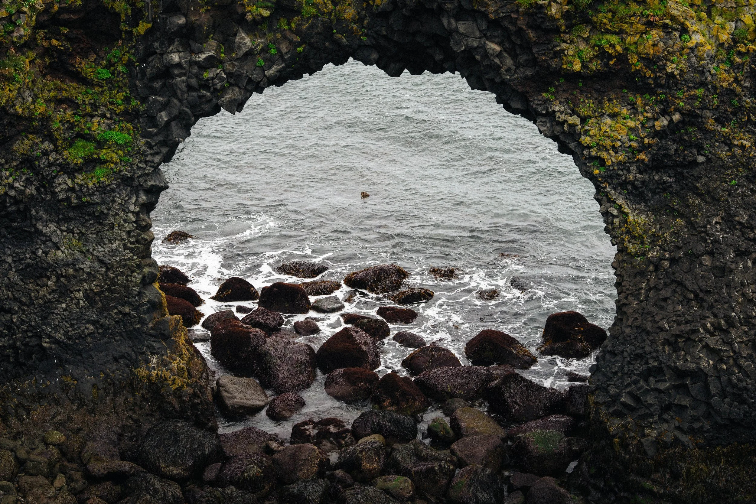 Island - Trail (29).JPG