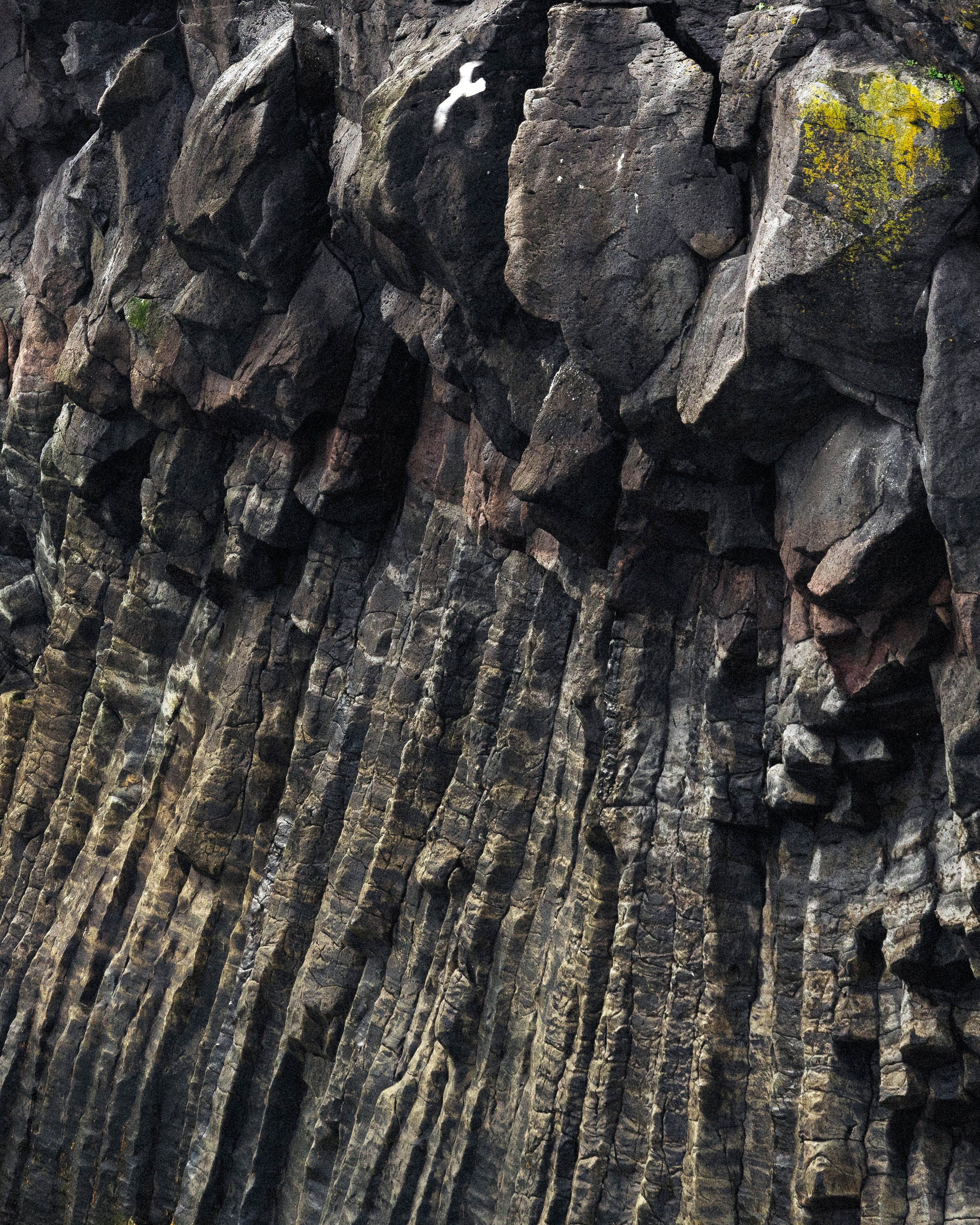 Island - Trail (27).JPG