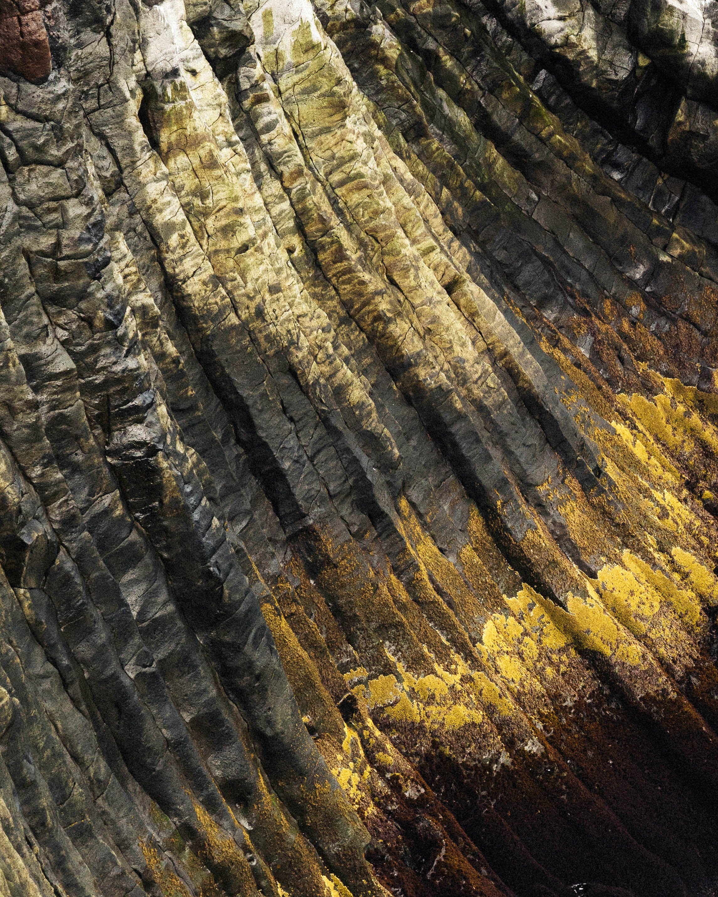 Island - Trail (28).JPG