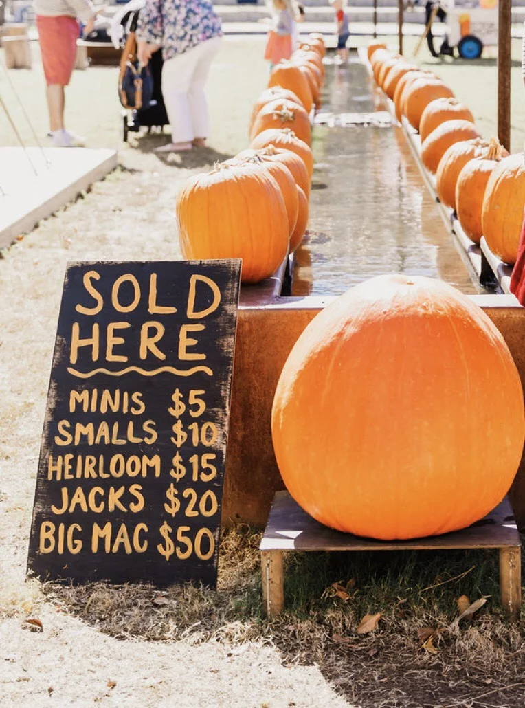 7 things I'm looking forward to this fall