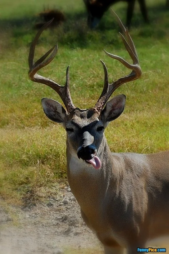 Agents — Jay Fear Real Estate, LLC