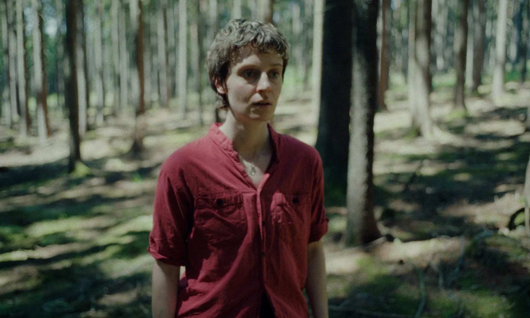 TIFF 2026 | MOVIE REVIEW: “Memories of a Forest” Reminds Us To Live Our Lives Our Way