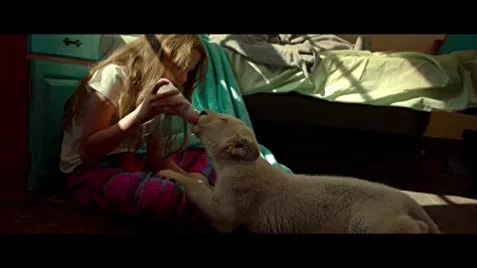 "Mia and The White Lion" Movie Review