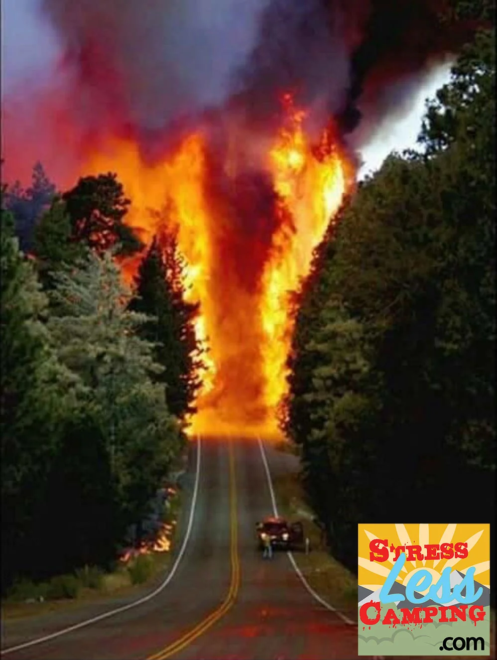 Fire-road.jpg