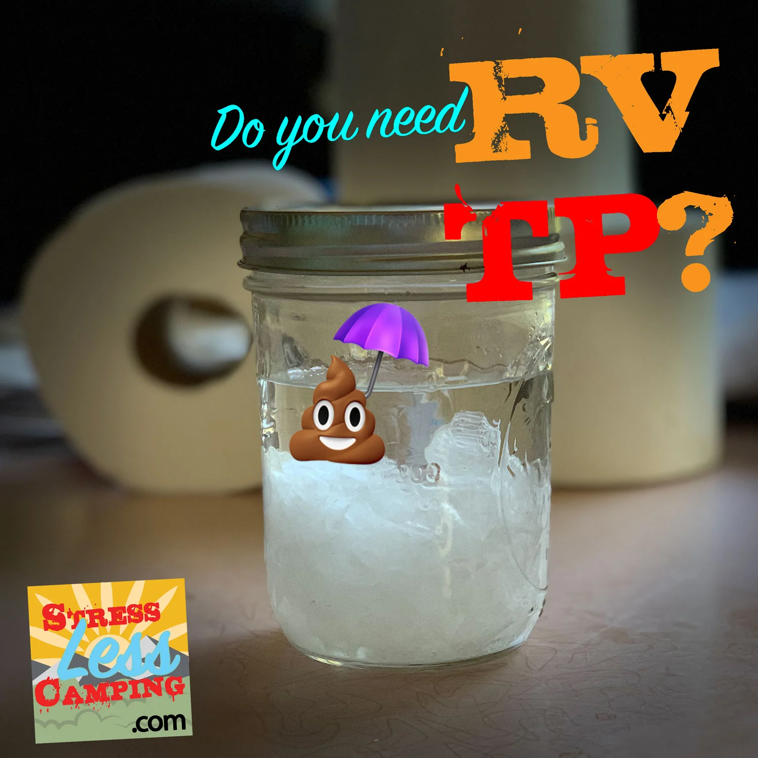 Do you need RV toilet paper - and how do you keep things from clogging?
