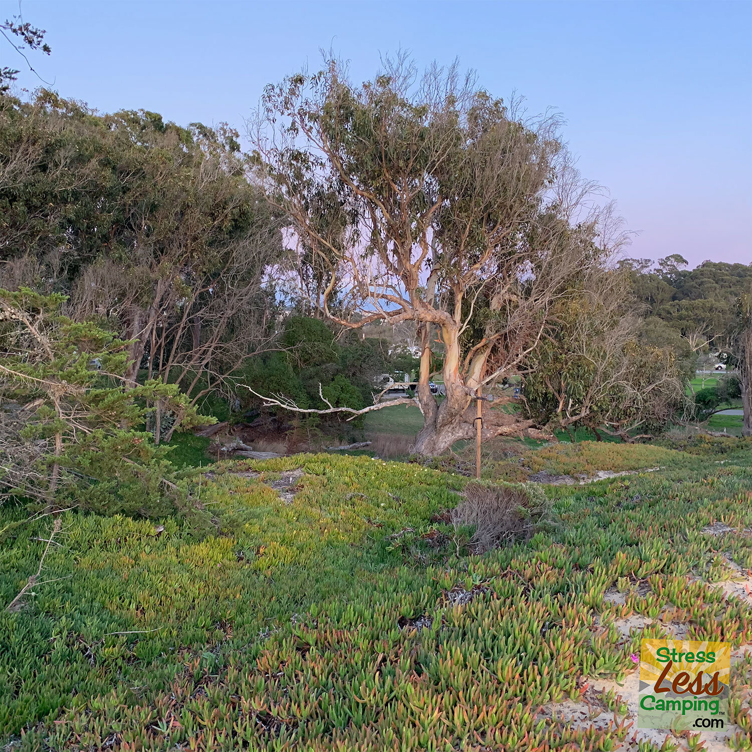 Our-Campsite-in-Pismo.jpg